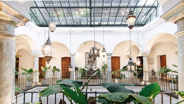 Un amplio atrium con techo de vidrio, plantas en macetas grandes y faroles colgantes.