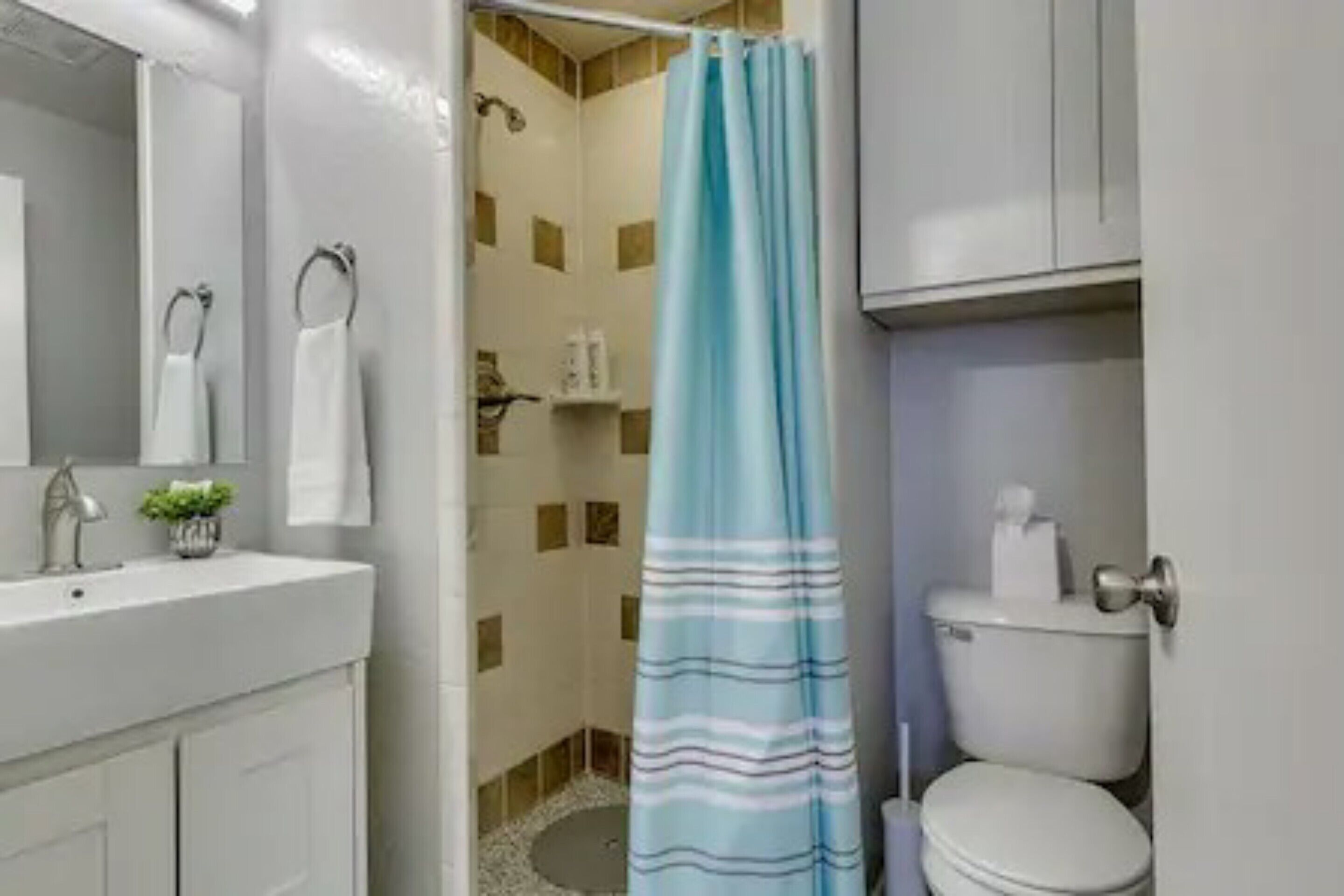 Baño con ducha, inodoro y lavamanos.