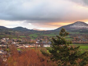 A town with houses and a mountain in the background.