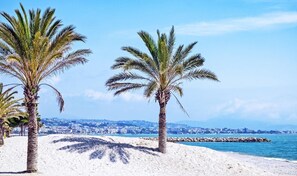 A beach with palm trees and a cityscape in the background. - Quiet renovated studio located in the city center (Cagnes-sur-Mer)