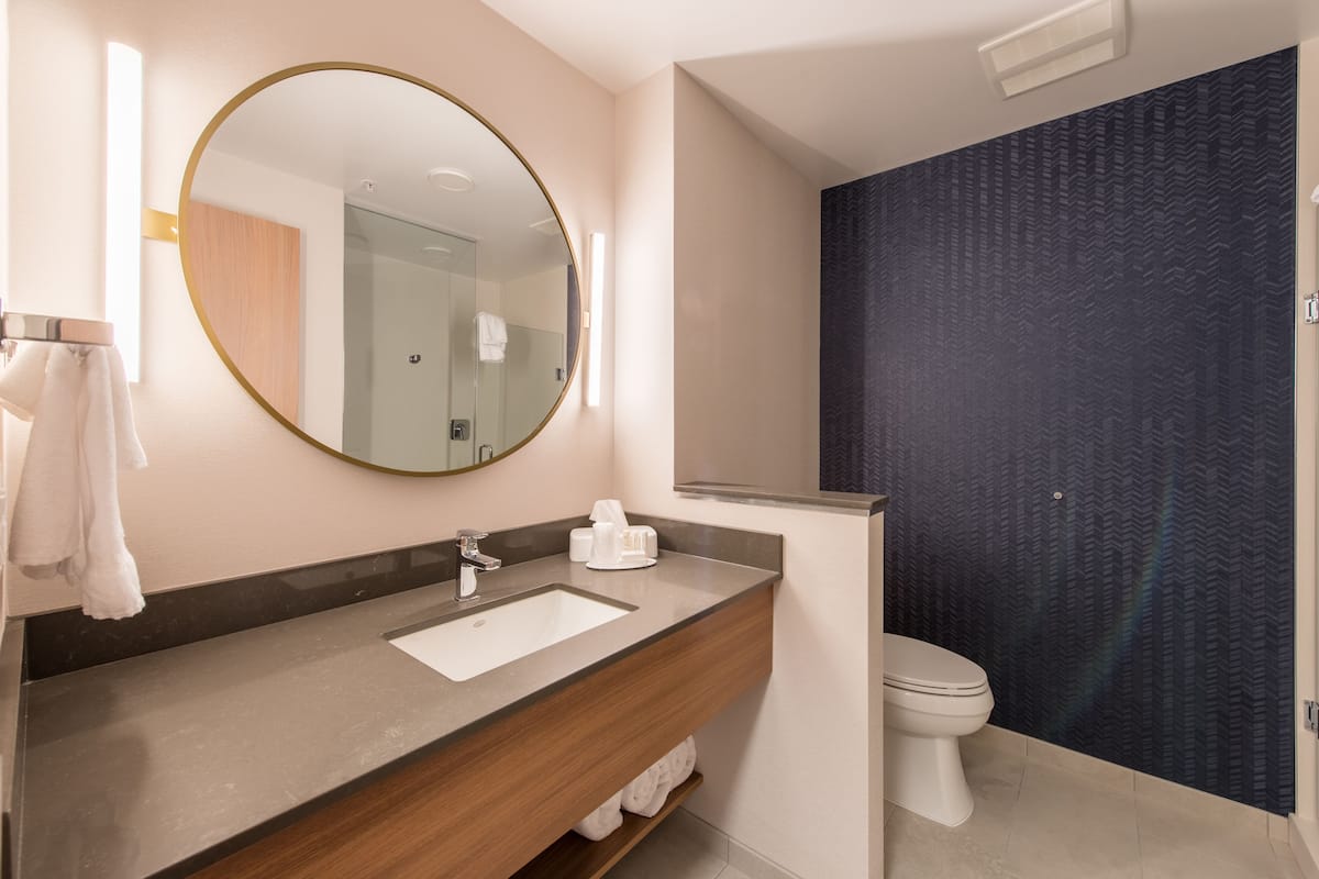 combined shower/bathtub, free toiletries, hair dryer