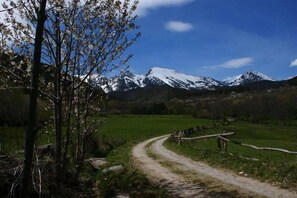 A dirt path leading to a mountain range with snow-capped peaks. - Lo Paller (Alt Aneu)