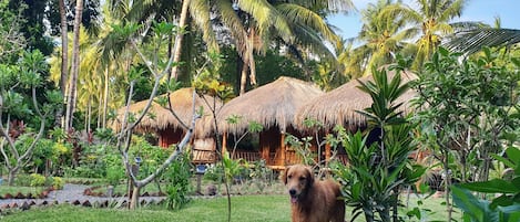 Jardín