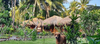 Same Same Bungalows Eco Lodge