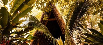 Same Same Bungalows Eco Lodge