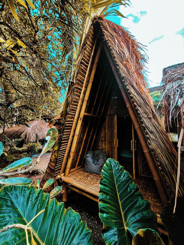 Standard Single Room | Front of property