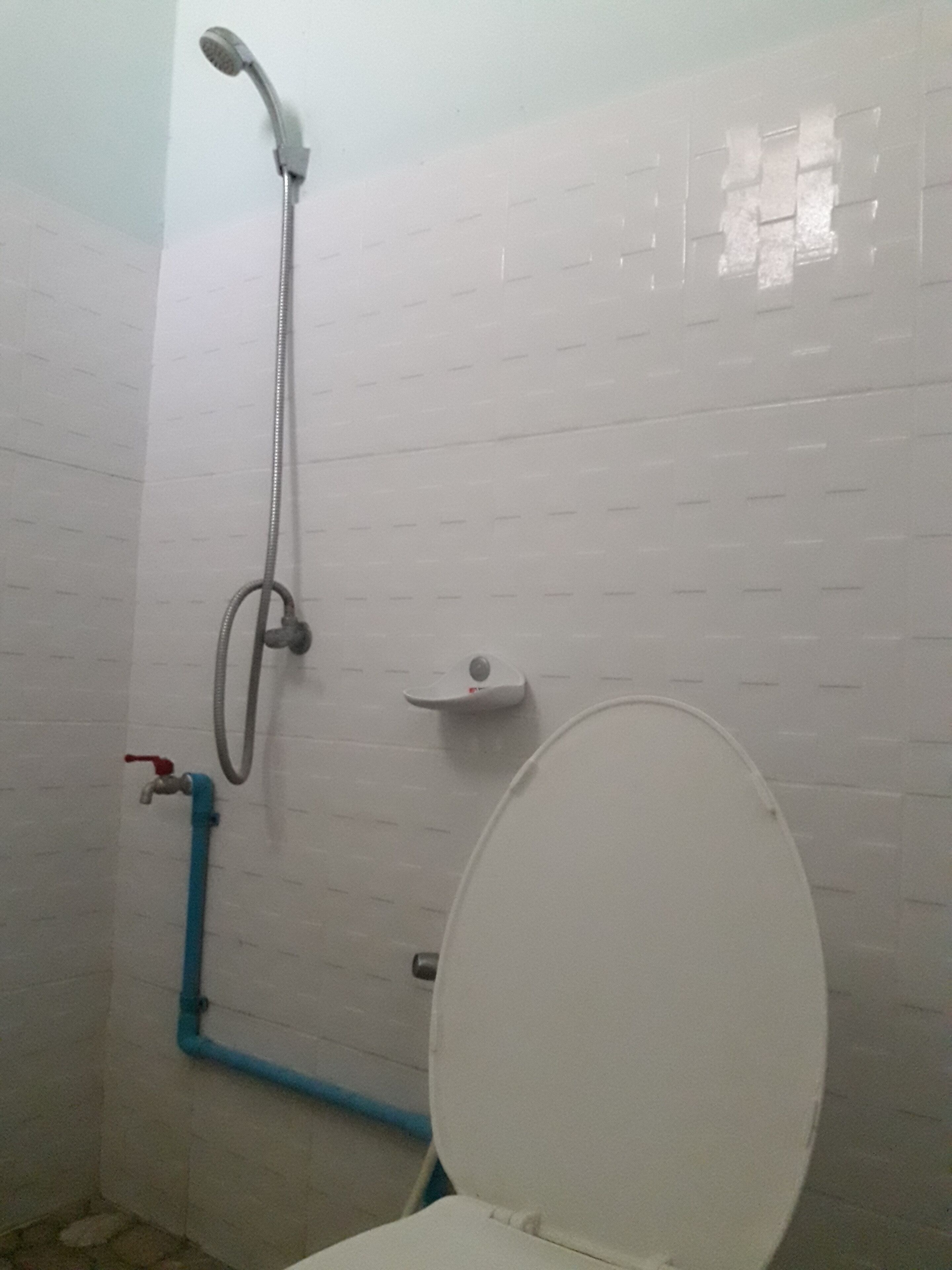 シャワー、タオル、石鹸、シャンプー