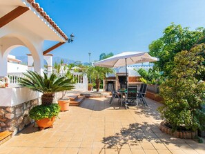 Plant, Sky, Flowerpot, Azure, Shade, Outdoor Furniture, Arecales, Building, Houseplant, Tree