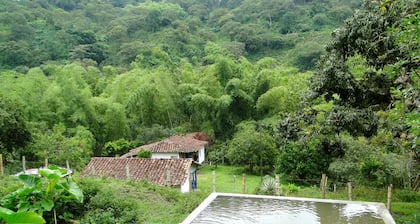 Chambre double avec salle de bain privée et vue sur la riviere et la montagne