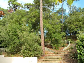 Boendeområde