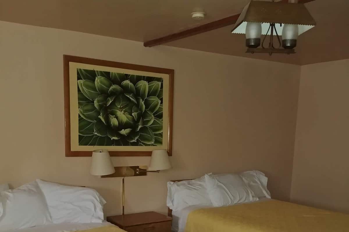 A hotel room with two beds, a nightstand, a lamp, and a ceiling light fixture.