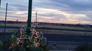 A sign for the Cactus Inn Motel with a green post and a cactus decoration.