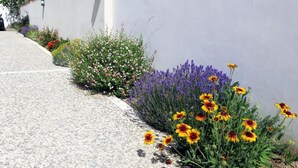 Un sentier bordé de différentes espèces de plantes à fleurs et d’un mur blanc.