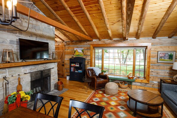 Smart TV, DVD player, books, video library