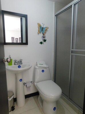 Shower, towels, soap, toilet paper