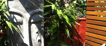 Boomerang Beach Luxury Bed & Breakfast
