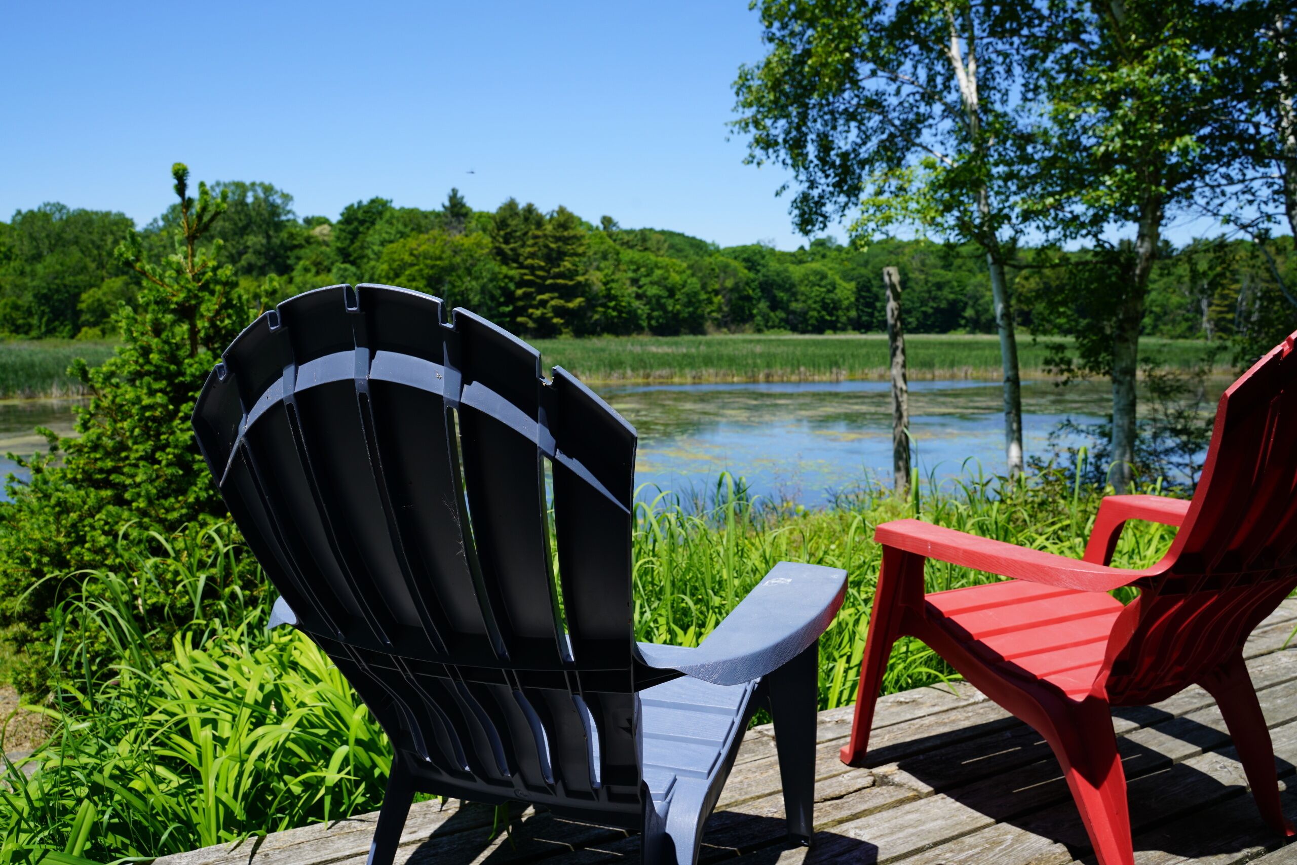 Comfort huis, privébadkamer, uitzicht op rivier (Black River Cottage) | Terras