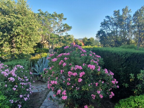 Property grounds - Beautiful villa for 4 guests with A/C, WIFI, TV, terrace and pets allowed (Port Grimaud)