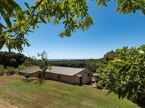 Situated in a lush landscape, this standalone building features a small porch and a serene natural setting.