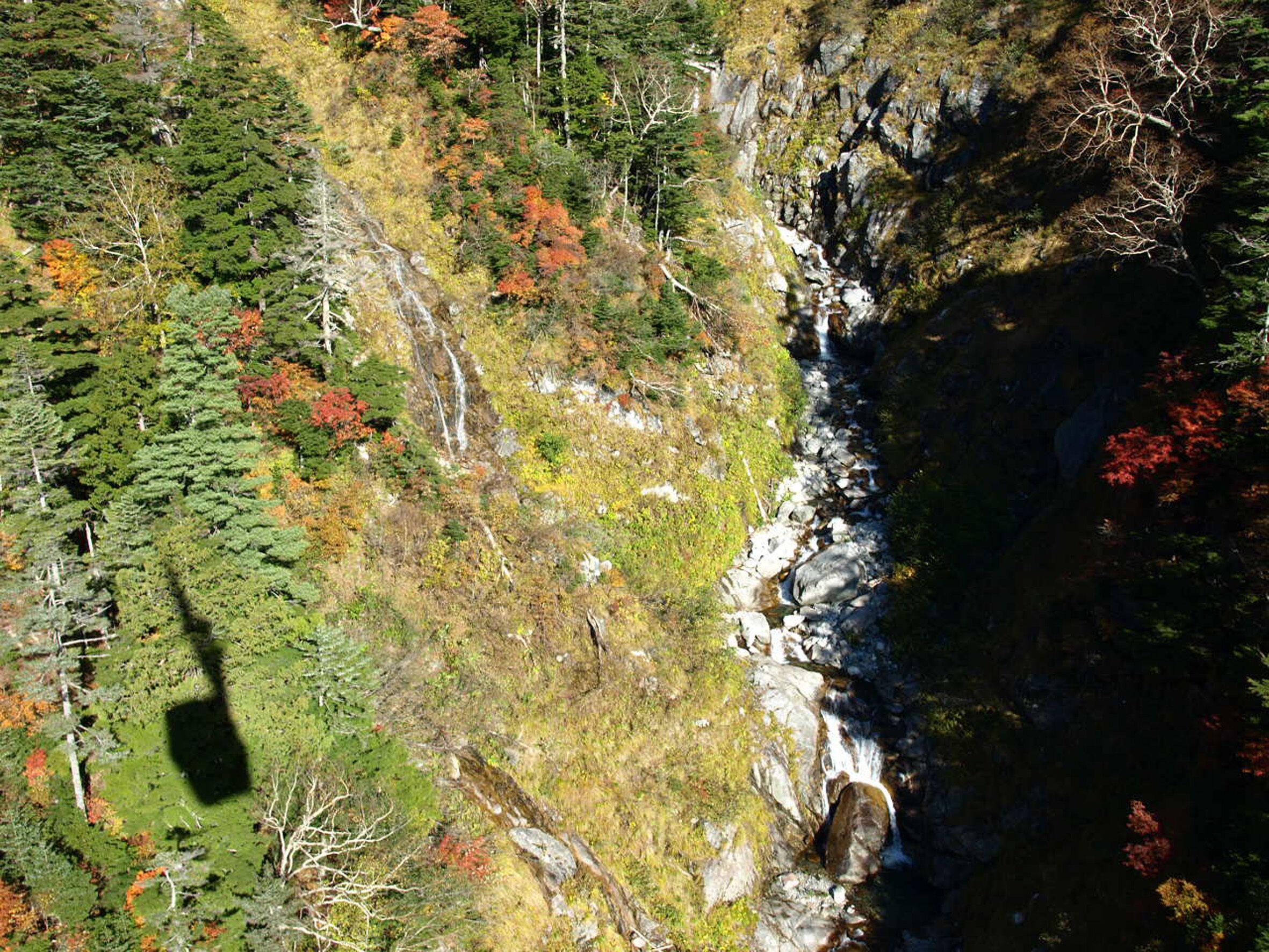 Un paisaje montañoso con un lecho rocoso de río y un bosque denso.