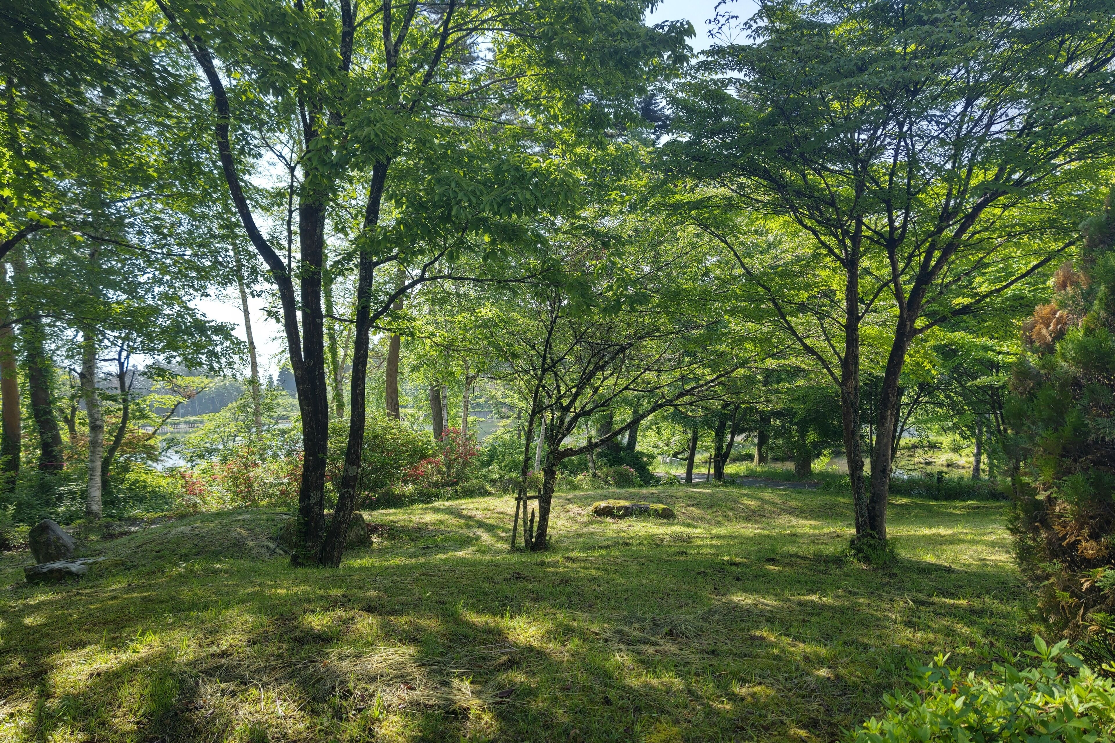 テラス / パティオ