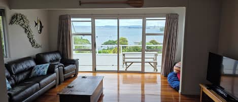 Smart TV, DVD player, books, stereo