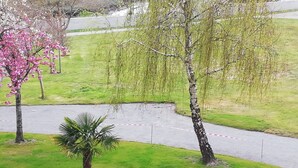 Un parc avec un sentier sinueux, un palmier et un saule pleureur.