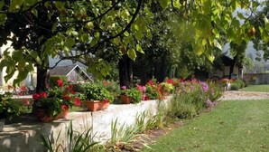 Een tuin met plantenpotten en een gazon.