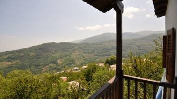 Vista desde la habitación