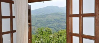 มาริกา วลาโค