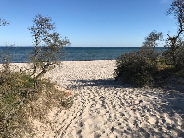 Tæt på stranden