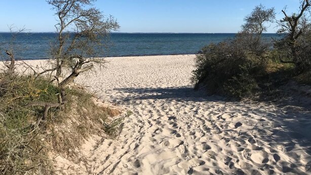 A sandy beach with sparse vegetation and a clear view of the sea.