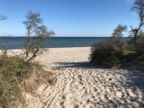 Uma praia arenosa com vegetação rala e vista desobstruída para o mar.