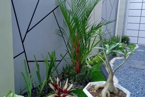 A potted plant arrangement with various species, a white wall with a geometric pattern, and a gravel path. - Alzara Hotel Syariah (Wonosari)
