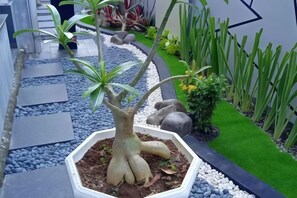Una pianta in vaso con un design originale del tronco, circondata da un vialetto ghiaioso e piante verdi.