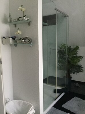 Dusche, Haartrockner, Handtücher, Seife