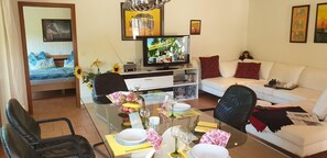 Tv, eldstad, dvd-spelare och ett bordtennisbord