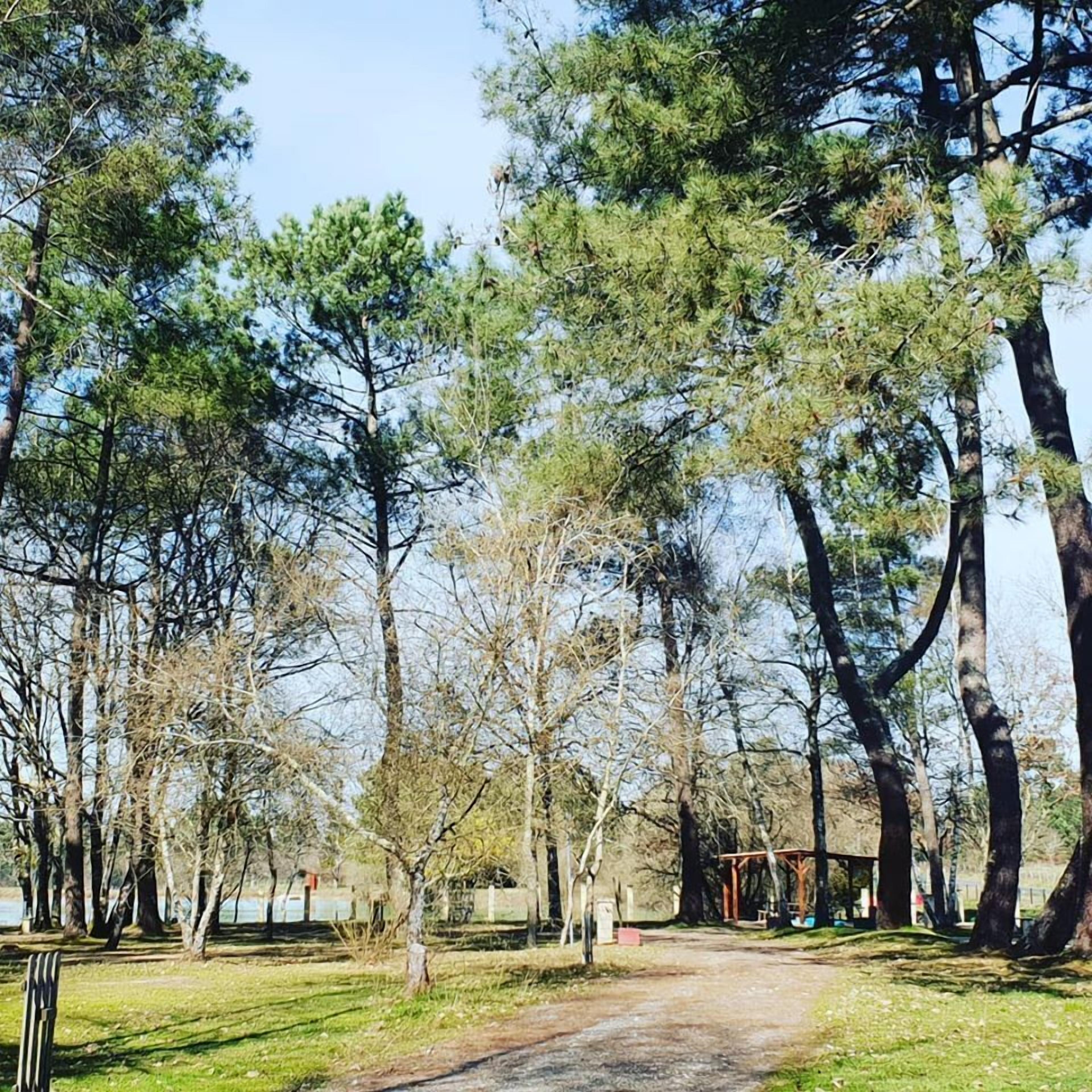 A park with a dirt path, trees, and a small wooden structure.