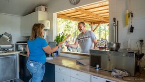 A kitchen with a wooden ceiling, a microwave, a sink, and a window overlooking greenery. - Camping Le Chene Du Lac (Bayas)