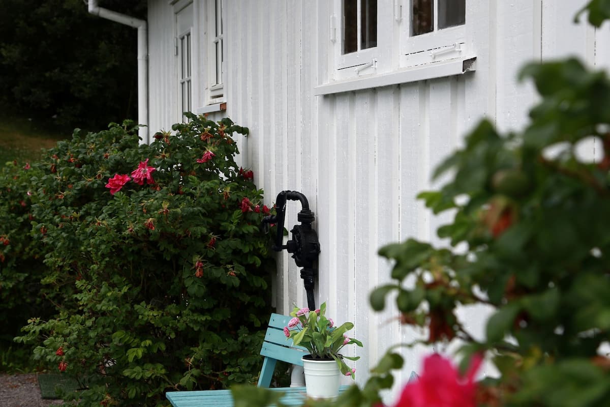 A white building with a window and a door, surrounded by greenery and a blue bench.