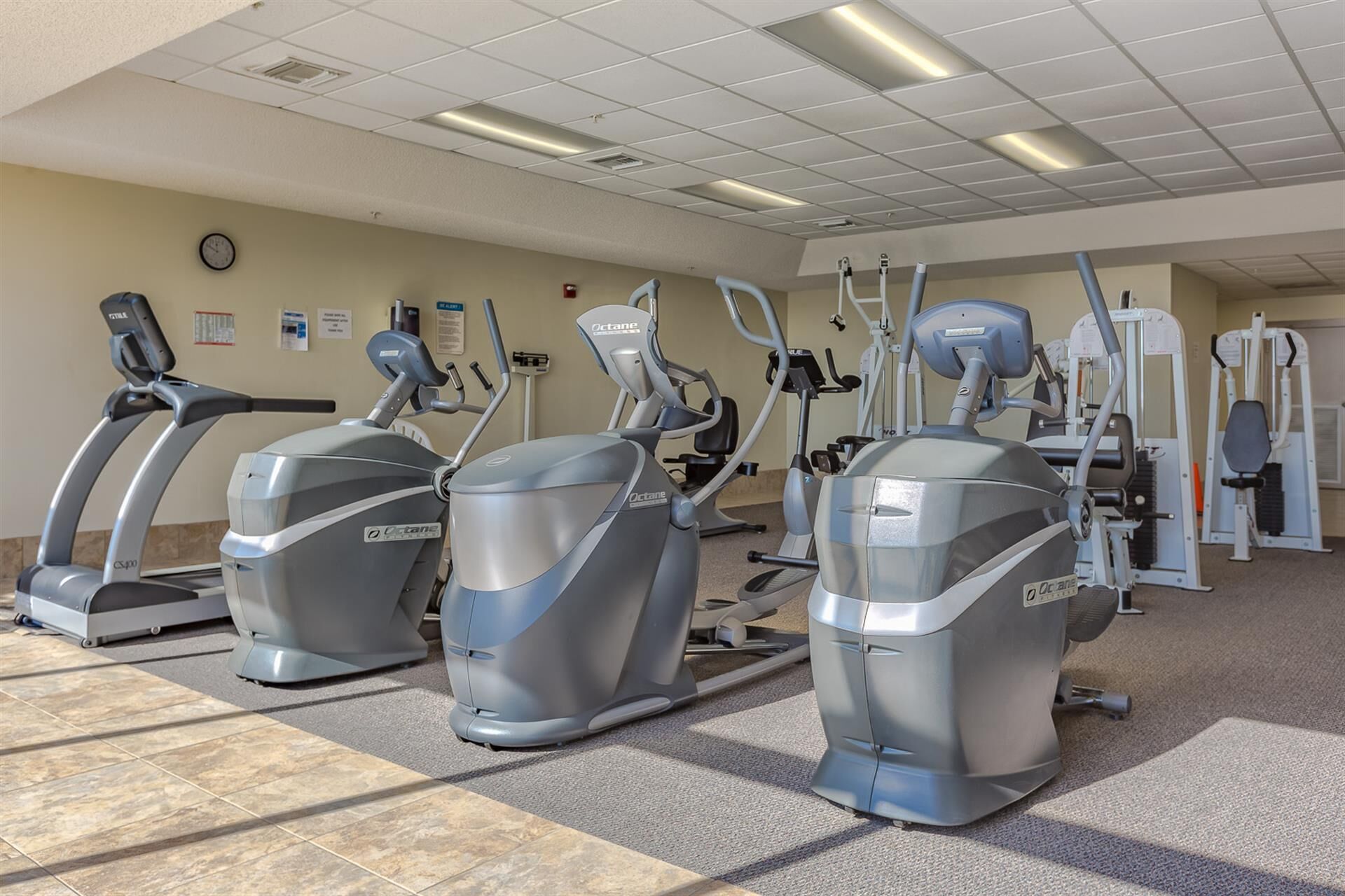 Ein Fitnessstudio mit Laufbändern, Crosstrainern und Kraftgeräten.