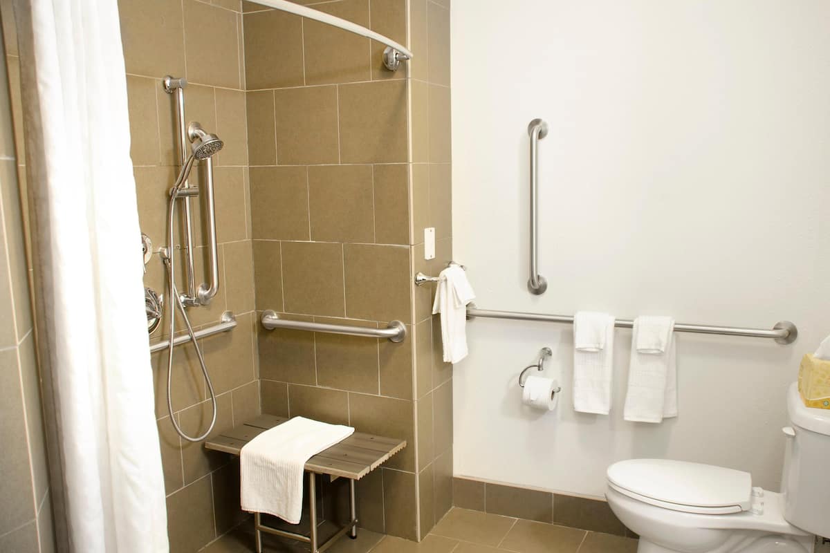 Une salle de bain équipée d’une douche, de toilettes et de barres d’appui.
