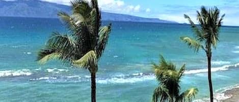 在海滩、沙滩毛巾