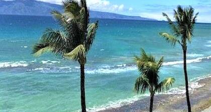 NEW 6Bed6Ba 3 PENTHOUSES, 2 SideBySide 1steps away Spectacular Ocean Beach Front