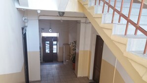 Un pasillo con una escalera, una puerta y una planta en maceta.
