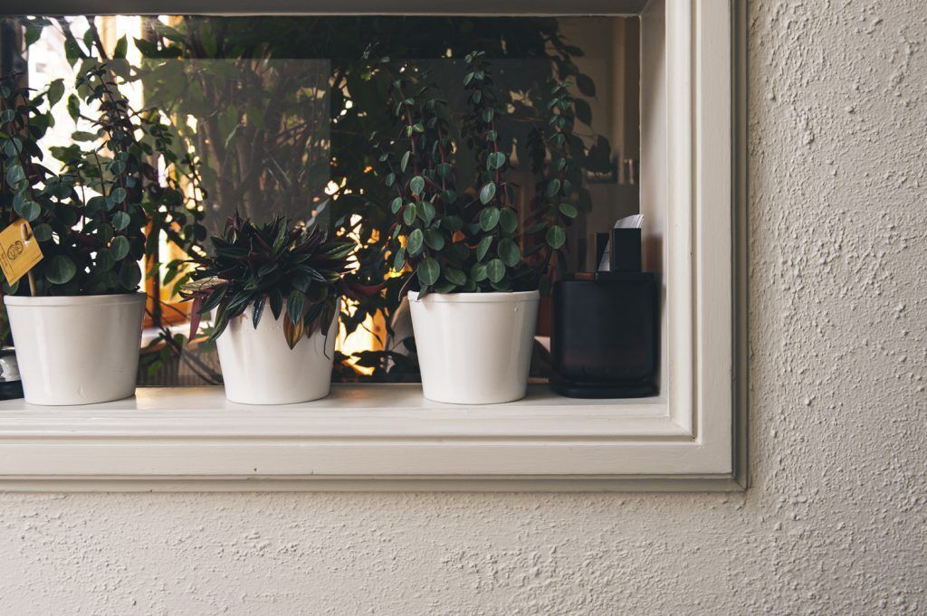 Foto - B&B La Passion Interdite