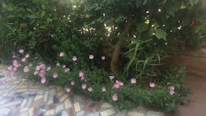 Unclassified image, 5 of 15, button - Popi Studios (Kos)