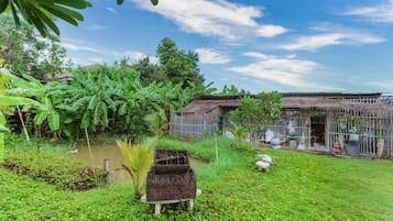 Vườn