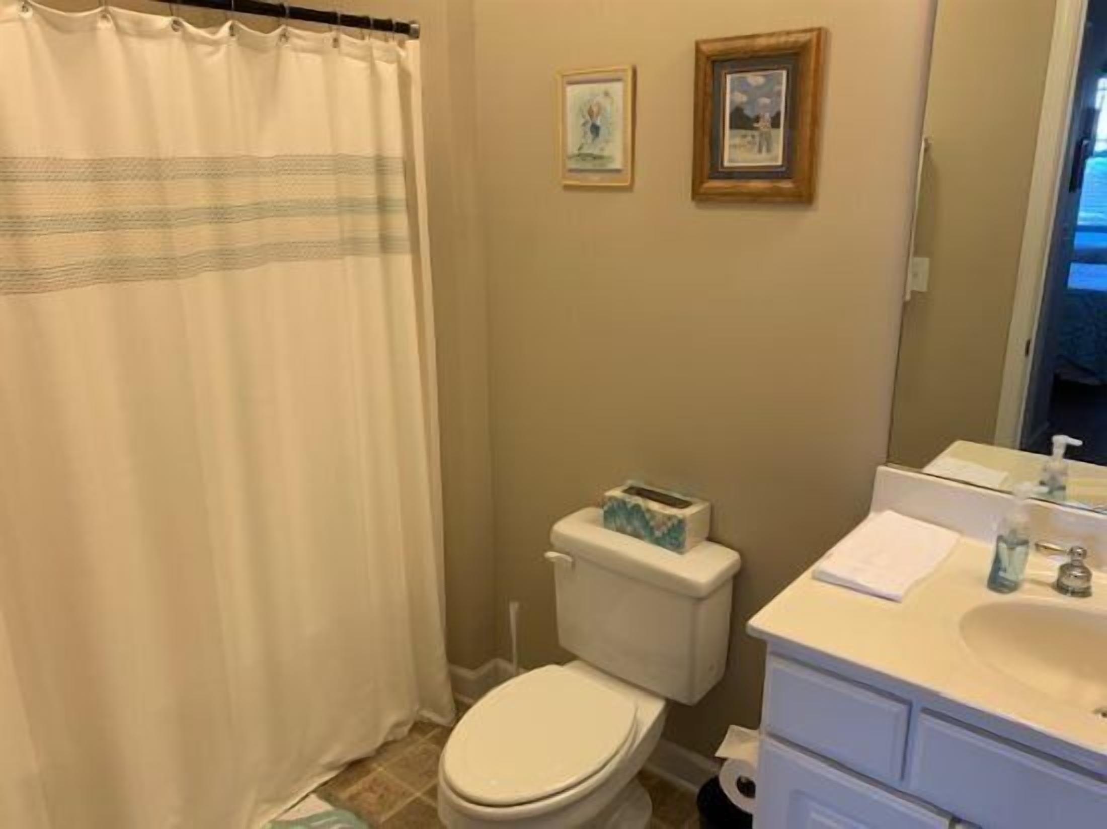 A bathroom with a toilet, a sink, and a shower curtain. There are two framed pictures on the wall.