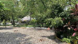 Un’area giardino con ghiaia, caratterizzata da una struttura con tetto di paglia, circondata da alberi e piante diverse.